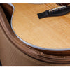 Taylor 212ce Acoustic-Electric Guitar - Solid Spruce Top - Rosewood Back and Sides - Matte Finish