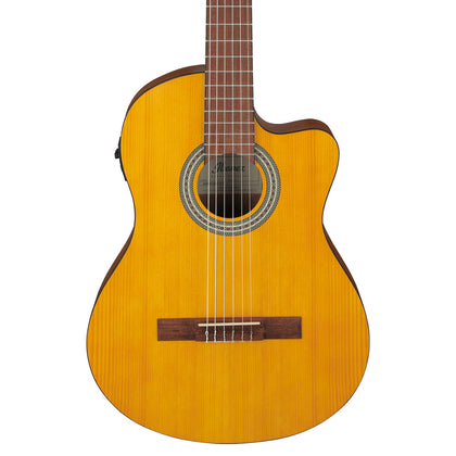Ibanez Classical Series Nylon String Acoustic-Electric Guitar - Open Pore Amber