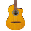 Ibanez Classical Series Nylon String Acoustic-Electric Guitar - Open Pore Amber