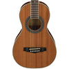 Ibanez PN1MH Acoustic Guitar - Natural High Gloss