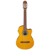 Ibanez Classical Series Nylon String Acoustic-Electric Guitar - Open Pore Amber
