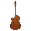 Ibanez Classical Series Nylon String Acoustic-Electric Guitar - Open Pore Amber