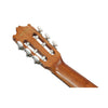 Ibanez Classical Series Nylon String Acoustic-Electric Guitar - Open Pore Amber