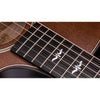 Taylor 614ce Builder's Edition Acoustic-Electric Guitar w/ V-Class Bracing - Wild Honey Burst