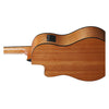 Ibanez Classical Series Nylon String Acoustic-Electric Guitar - Open Pore Amber