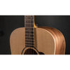 Taylor BBT Big Baby Taylor Acoustic Guitar with Gig Bag