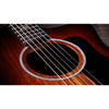 Taylor 224ce-K DLX Acoustic-Electric Guitar - Shaded Edgeburst